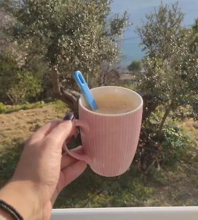 Vakantiehuis The Traditional House-skalia,kalymnos *