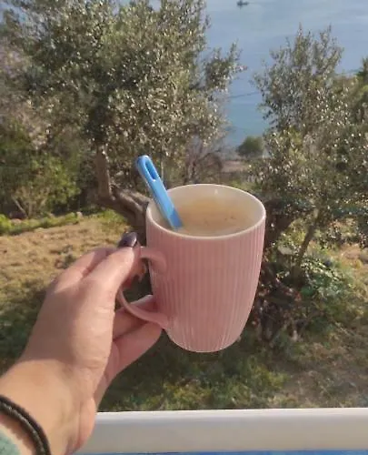 Сasa de vacaciones The Traditional House-skalia,kalymnos *